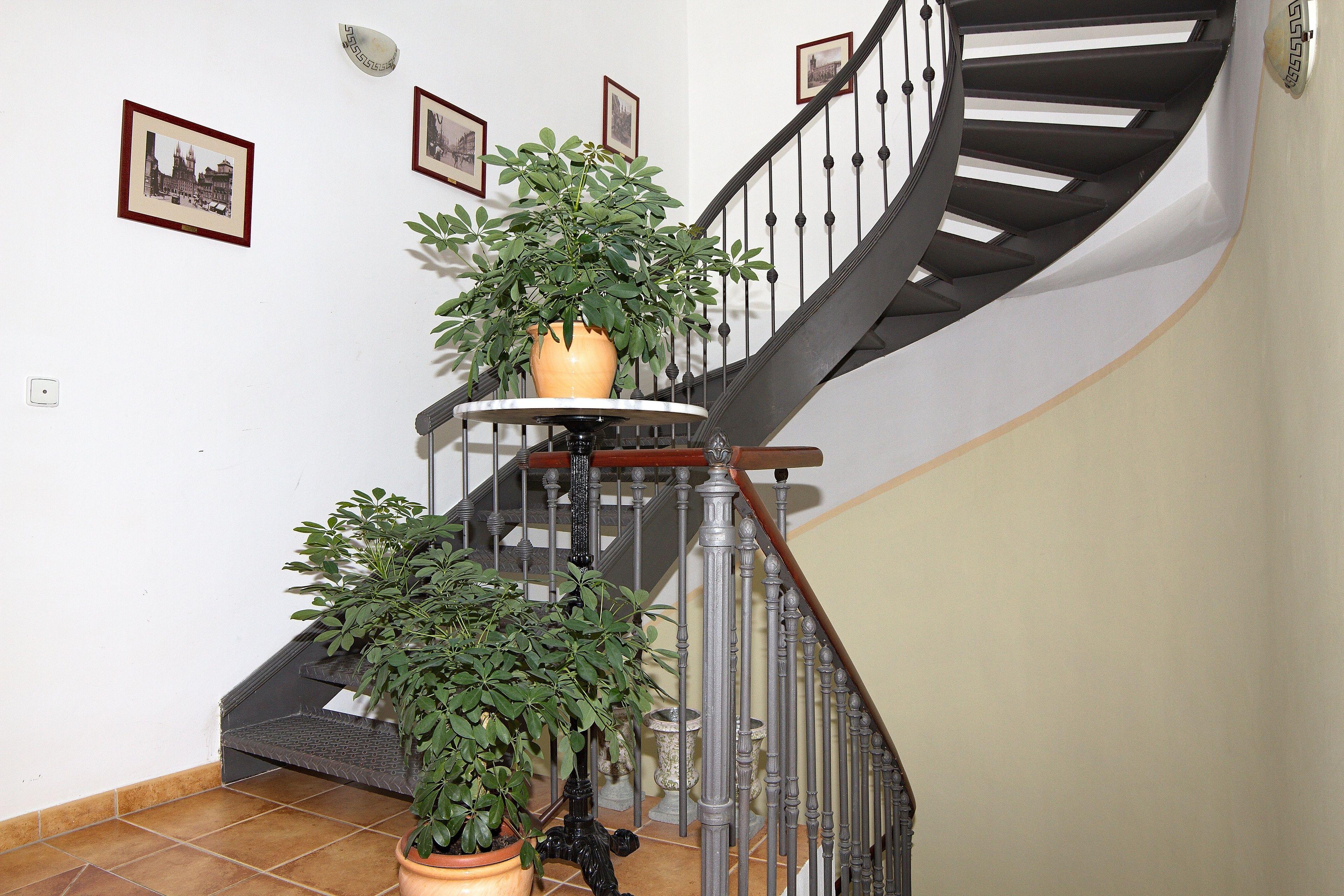 Hotel Dar, Prague